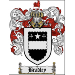 .The Bradley imperial house of bloxburg.
