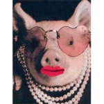 Prettiest Pigs