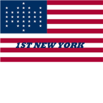 Union Militia 1st New York Regiment