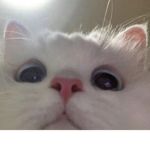 -0mail0-