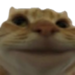 саtᅠ