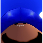 Porpoise Emporium