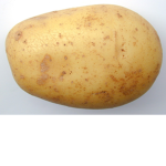 Potatos and co