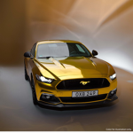 #Mustang Gang