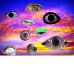 the eyes of swag