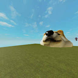 Shiba Inu Glory Shrine