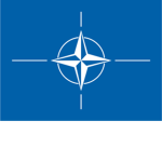 • Indonesian National Armed Forces •