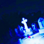 TheMonarchy†