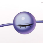 ｡ﾟ•┈୨♡୧┈• ｡ﾟ