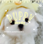 Puppy hoodie