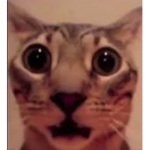 GobbleGoop