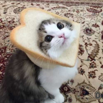The Loaf Of Breadツ