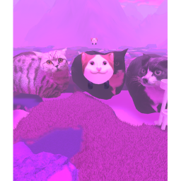 Pink Cat World