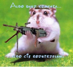 Hamsters Clothing