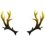 Luxury Antlers