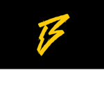TDP Brandon Fan Group