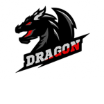 The dragon team.