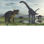 Herd of sauropods