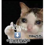 * D0LLI3S *