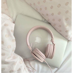🌸🌸