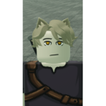 Felinor fan group
