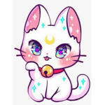 unicorn panda kitty