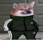 gg jgv