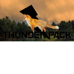 The Thunder Pack