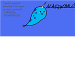 Narwhal Luvers!