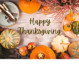 Escape thanksgiving