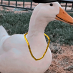 be a duck or human and fight