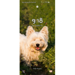 Dog cute group