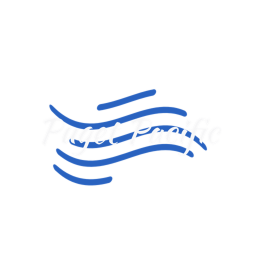 Puget Pacific Airlines | Puget Airport