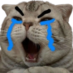familymeomeo