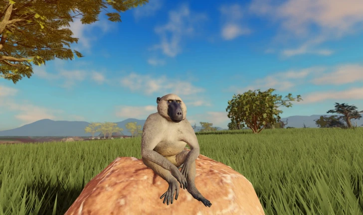 Baboon Update