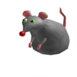 Lovely Rats!