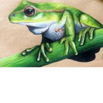 The Official Ribbit Family