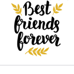 Rider's best friend (fans too)