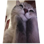 Roblox entity thumbnail
