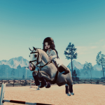 <* Oakenstead Equestrian Centre *>