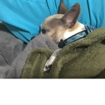 XxMoonSquadxX