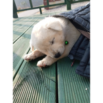 친구서버