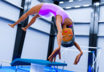 Ginnastica artistica school
