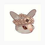 ~The Bunny Bunch~