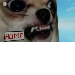 HOME