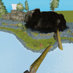 Forest Showcase