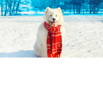 Floof Clothing