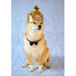 the empire of doges