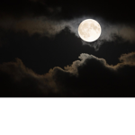 Light_ Moon _Group