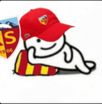 RG Reis Grubu
